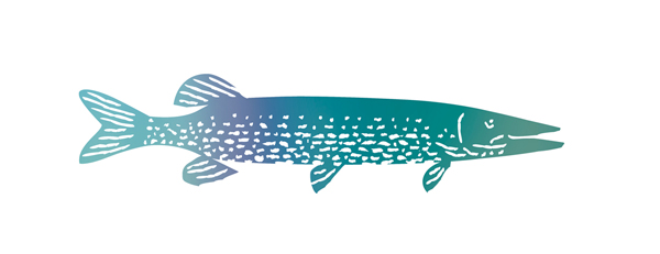 Brochet - logo