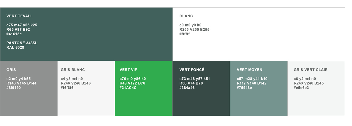 Tevali Partners lignes